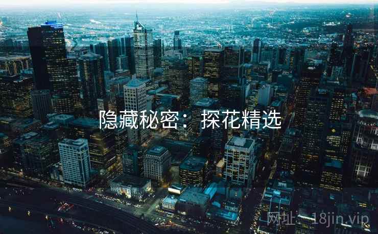 隐藏秘密：探花精选