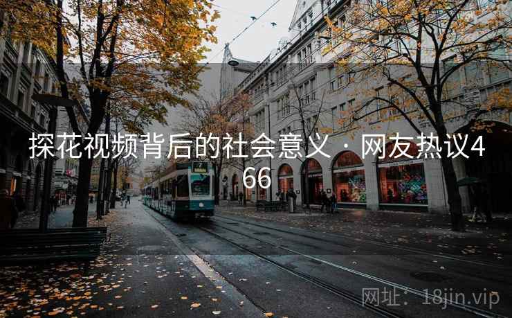 探花视频背后的社会意义 · 网友热议466